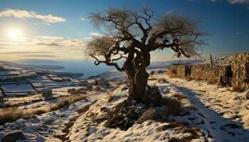 hiver paysage neigeux arbre, le coucher du soleil plus de montagnes, tranquille neigeux scène généré par ai photo