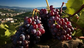 grain de raisin vignoble, mûr fruit, Frais récolte, la nature sucré rafraîchissement généré par ai photo