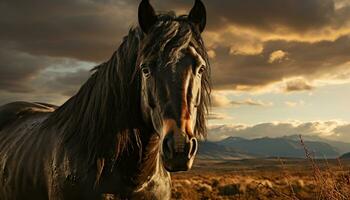 cheval pâturage dans prairie, baigné dans le coucher du soleil tranquille beauté généré par ai photo