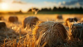 le coucher du soleil plus de une rural cultiver, Prairie d'or avec récolté foins généré par ai photo