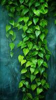 jungle vigne feuilles sur texturé Contexte photo