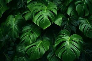 tropical feuilles comme arrière-plan, Haut voir. vert feuillage texture ai généré photo