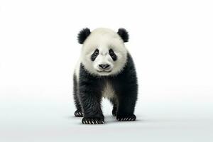 mignonne Panda séance sur le table isolé sur blanc Contexte. ai généré photo