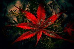 rouge cannabis feuille. produire ai photo