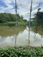 inondé l'eau après lourd pluie photo