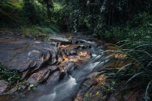 ruisseau après la pluie dans la forêt tropicale photo