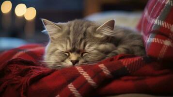 ai généré mignonne chat en train de dormir sur canapé à maison, fermer. charmant animal de compagnie photo
