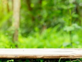 vide en bois dessus de la table podium dans jardin ouvert forêt, flou vert les plantes Contexte avec espace. biologique produit présente Naturel placement piédestal afficher, printemps et été concept photo