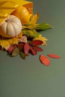 concept de shopping et de vente d'automne. composition de feuilles d'automne tombées et d'un sac à provisions sur fond vert photo