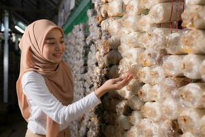 Jeune asiatique musulman femelle scientifique recherche travail à champignon usine, collecte mature champignons dans champignon maison pour laboratoire expériences. photo