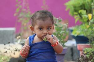 mignonne Indien bébé fille en mangeant une feuille dans le jardin. photo