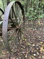 grand vieux le fer roue, abandonné machinerie dans le forêt photo