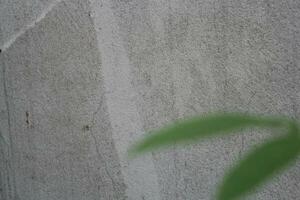 Vide ciment mur surface avec flou vert feuilles, le sable ciment mur Contexte avec vert feuille photo