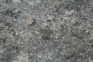 grungy ciment mur arrière-plan, vieilli le sable mur surface, patiné rustique mur toile de fond photo