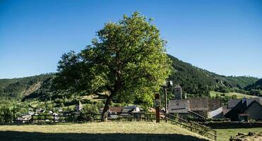 parc national des cévennes photo