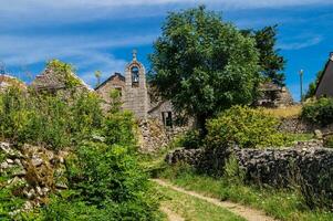 parc national des cévennes photo