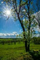 Naturel parc de auvergne volcans photo