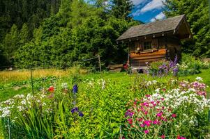 paysage de le Alpes dans France dans été photo