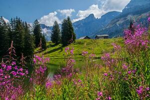 paysage de le Alpes dans Suisse dans été photo