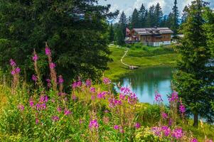 paysage de le Alpes dans Suisse dans été photo