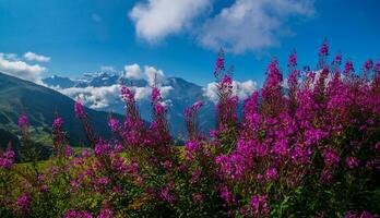 paysage de le Alpes dans Suisse dans été photo