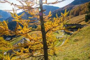 paysage des Alpes suisse en automne photo