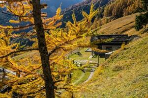 paysage des Alpes suisse en automne photo