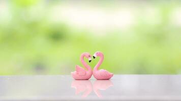 flamant couple dans l'amour avec Naturel bacground pour la Saint-Valentin journée ou mariage concept photo