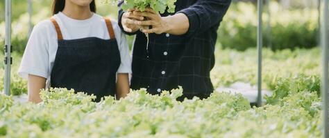 dans le industriel serre deux agricole ingénieurs tester les plantes santé et analyser Les données avec tablette ordinateur. photo