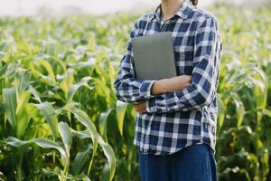 agriculteur utiliser le coeur Les données réseau dans le l'Internet de le mobile à valider, test, et sélectionner le Nouveau surgir méthode. Jeune Les agriculteurs et le tabac agriculture photo