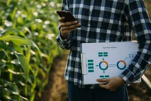 agriculteur utiliser le coeur Les données réseau dans le l'Internet de le mobile à valider, test, et sélectionner le Nouveau surgir méthode. Jeune Les agriculteurs et le tabac agriculture photo