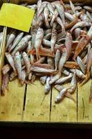 nourriture pour poissons dans un stand de marché aux poissons photo