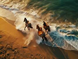 magnifique les chevaux fonctionnement sur le plage à le coucher du soleil. les chevaux dans le mer. ai génératif photo