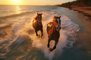 magnifique les chevaux fonctionnement sur le plage à le coucher du soleil. les chevaux dans le mer. ai génératif photo