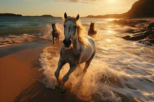 magnifique les chevaux fonctionnement sur le plage à le coucher du soleil. les chevaux dans le mer. ai génératif photo