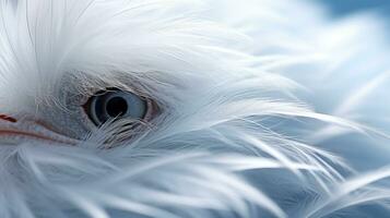 fermer portrait de une blanc oiseau avec une Jaune œil. ai génératif photo