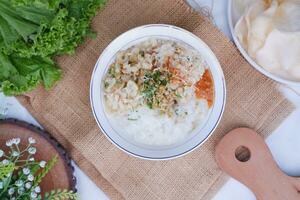 riz bouillie avec poulet, indonésien style nourriture photo