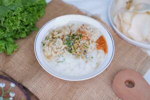 riz bouillie avec poulet, indonésien style nourriture photo