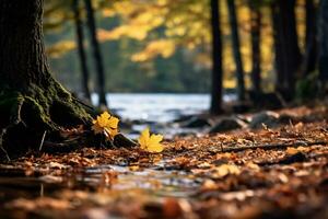 ai génératif de une serein l'automne paysage d'or feuilles couverture le sol photo