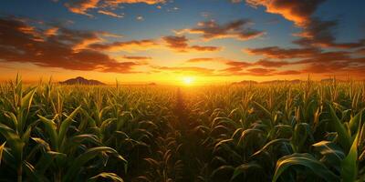 le coucher du soleil plus de une blé champ avec montagnes dans le Contexte. agricole paysage ai généré photo