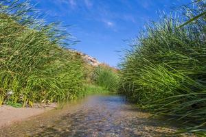 Rivière d'Arabie à Taif, Arabie Saoudite photo