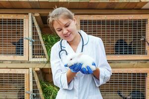 heureuse jeune femme vétérinaire avec stéthoscope tenant et examinant le lapin sur fond de ranch. lapin dans les mains du vétérinaire pour un contrôle dans une ferme écologique naturelle. concept de soin des animaux et d'agriculture écologique. photo