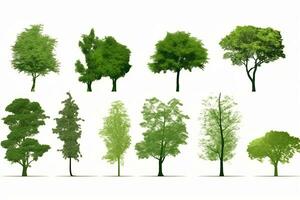 une collection de différent les types de des arbres. génératif ai photo