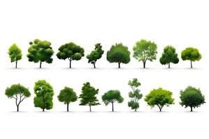 une collection de différent les types de des arbres. génératif ai photo