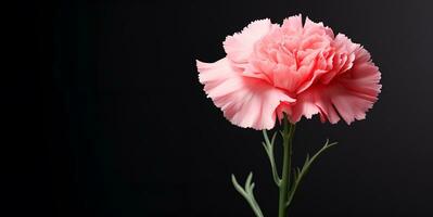 magnifique œillet fleur macro Vide espace, ai génératif photo