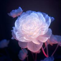 blanc Rose fleur macro avec néon lumière, ai génératif photo