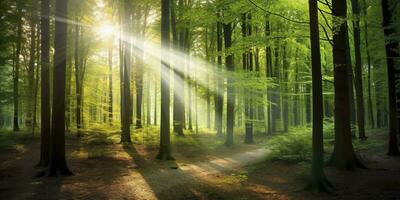 magnifique des rayons de lumière du soleil dans une vert forêt. génératif ai photo