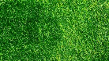 fond de texture d'herbe verte concept de jardin d'herbe utilisé pour faire un terrain de football de fond vert, golf d'herbe, fond texturé de motif de pelouse verte. photo