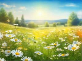 Naturel coloré panoramique paysage avec beaucoup sauvage fleurs de marguerites contre bleu ciel ai généré photo