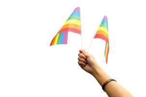 arc en ciel drapeau sur blanc Contexte. il est une symbole de lesbienne, gay, bisexuel, et transgenres fierté et lgbt social mouvements. aussi connu comme le gay fierté drapeau ou lgbt. photo